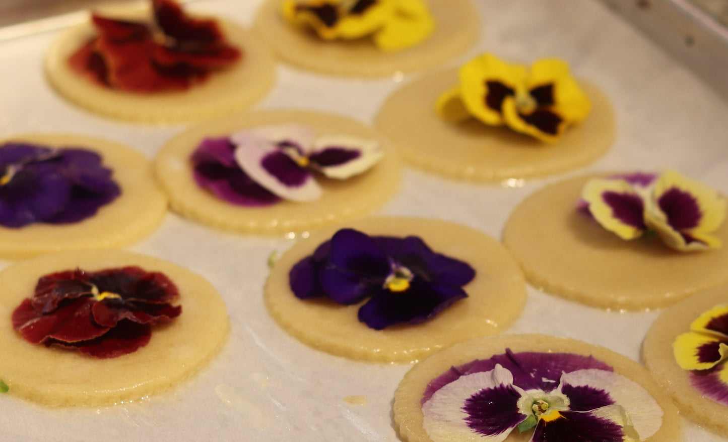 Sugar Cookie (Dairy Free)